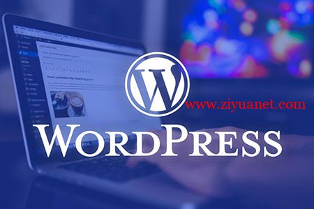 WordPress网站扒站必备，查看网站使用什么主题和插件