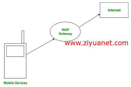 你知道什么是WAP网络吗？