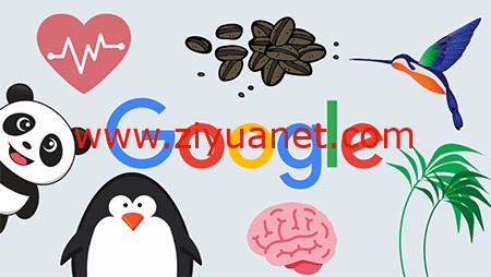 Google谷歌搜索算法是什么？