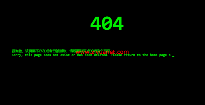 404页面源码，动态代码输入效果适合技术资源网站lz1015