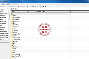 ACDsee-单文件极小珍藏版-经典看图软件-速度快-单文件版