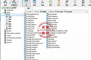 建站必备Mysql数据库管理工具Navicat Premium 12中文破解版