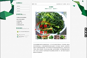 大气绿色企业通用网站-适合农业类-网络科技类-工作室-企业网站等-自适应手机版OD1203