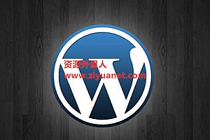 WordPress中自动截取限定字数的文章摘要