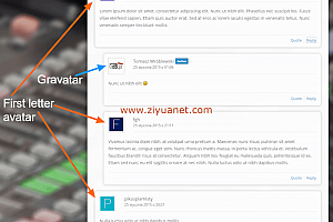 WP First Letter Avatar – WordPress中将用户名首字母作为用户头像
