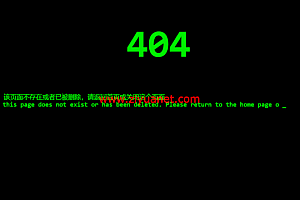 404页面源码,动态代码输入效果适合技术资源网站lz1015