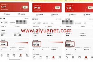 拼多多视频带货视频教程下载,0成本赚钱(视频教程+软件工具)bd1130