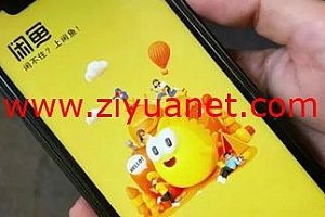 闲鱼二手数码项目赚钱视频教程bd1132